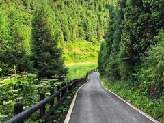 -武陵山森林公园