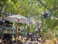 -Fern Forest Cafe