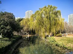 -白塘生态植物园