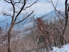 -紫金山山顶公园