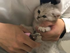 -安安宠医·安宠宠物医院