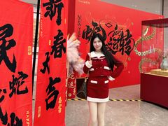 -石狮世茂摩天城摩天轮