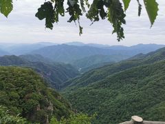 -牛背梁国家森林公园