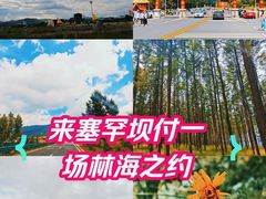 -塞罕坝国家级自然保护区