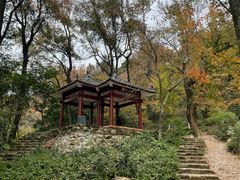 -广州市石门国家森林公园