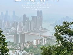 -南山植物园