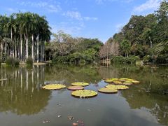 -中国科学院西双版纳热带植物园
