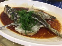 蒸鱼-潮喜竹溪荔湖酒家(荔枝湾店)