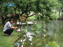 -洪湖家庭农场·团建·露营·会议