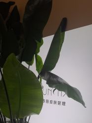 -春田皮肤管理中心品牌旗舰店