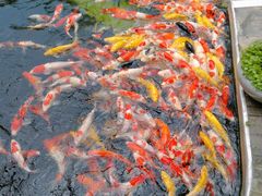 -顺德了能馆(虎门店)