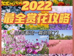 -沉浸北京·团建旅行·密室剧本杀·年会会议轰趴拓展