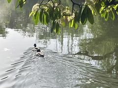 -西苑公园