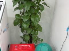 -中国农业银行(樱桃苑支行)