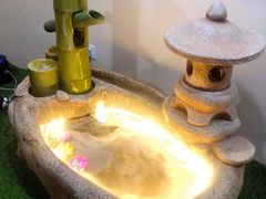 -白兔子密室(长寿路店)