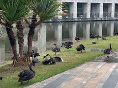 -厦门国家会计学院