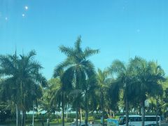 -同禧荟·港味海鲜火锅·粤菜(三亚湾店)