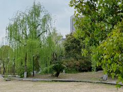 -黄兴公园