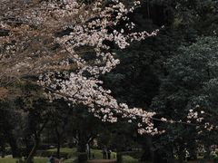 -京都御所