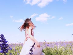 -莲花山花海