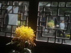 -上海醉白池公园
