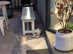 -隹木咖啡馆(宝龙广场店)