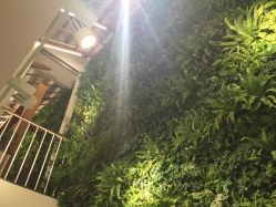-悦诗风吟innisfree