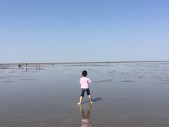 -南汇嘴观海公园