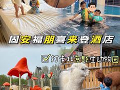 -廊坊固安福朋喜来登酒店
