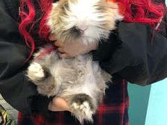 -雨林宠物医院 非犬猫异宠专科