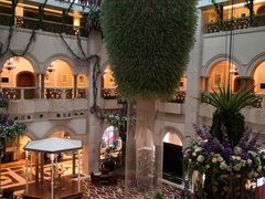 -深圳东部华侨城茵特拉根酒店