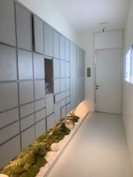 -苑苑vbeauty科技美容SPA