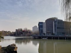 -青枫公园