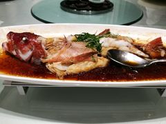 -大可堂普洱茶馆(襄阳南路馆)