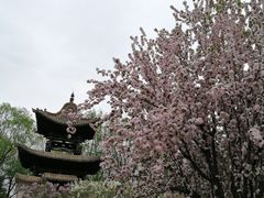 -元大都城垣遗址公园