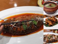 红烧黄河大鲤鱼-宁味楼·西北创新融合菜(正源南街宝湖店)