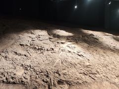 -世界恐龙谷景区