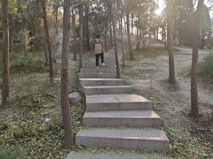 -南翠屏公园