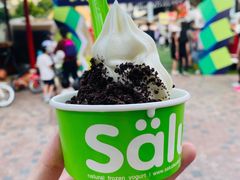 -Salud撒露欧洲冻酸奶(蓝色港湾店)