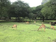-卡塞拉自然公园