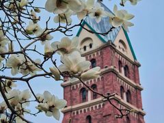 -天津五大道文化旅游区