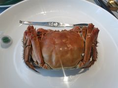 公闸蟹-徐记海鲜(南油永新汇店)