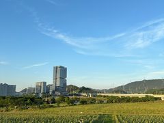 -光明小镇欢乐田园