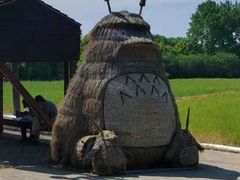 -嘉北郊野公园