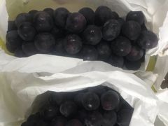 -马陆小张葡萄园农家乐