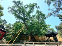 -无锡惠山寺