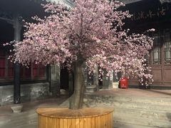 -天津戏剧博物馆