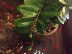 iphone_upload_pic-旅马餐厅(茅家埠店)