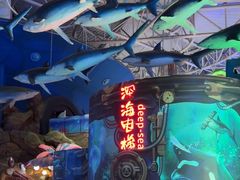 -烟台海昌鲸鲨海洋公园