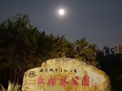 -大亚湾红树林城市湿地公园